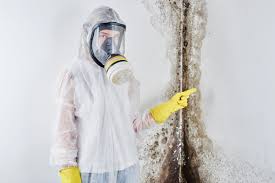 Mold Odor Removal Services in Pimlico, SC